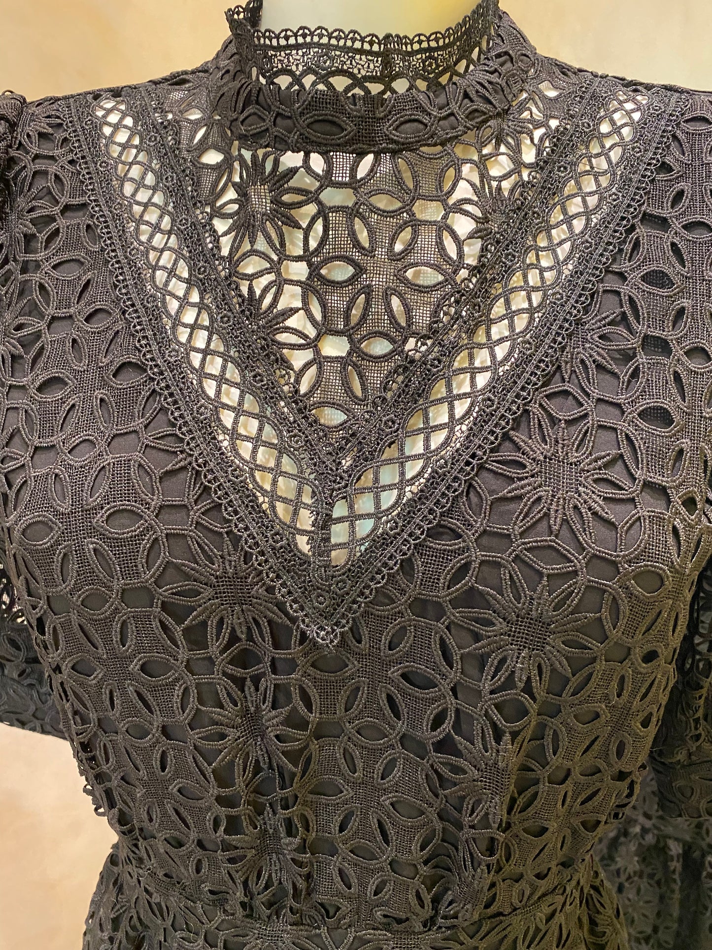 RENTAL Carolle lace dress