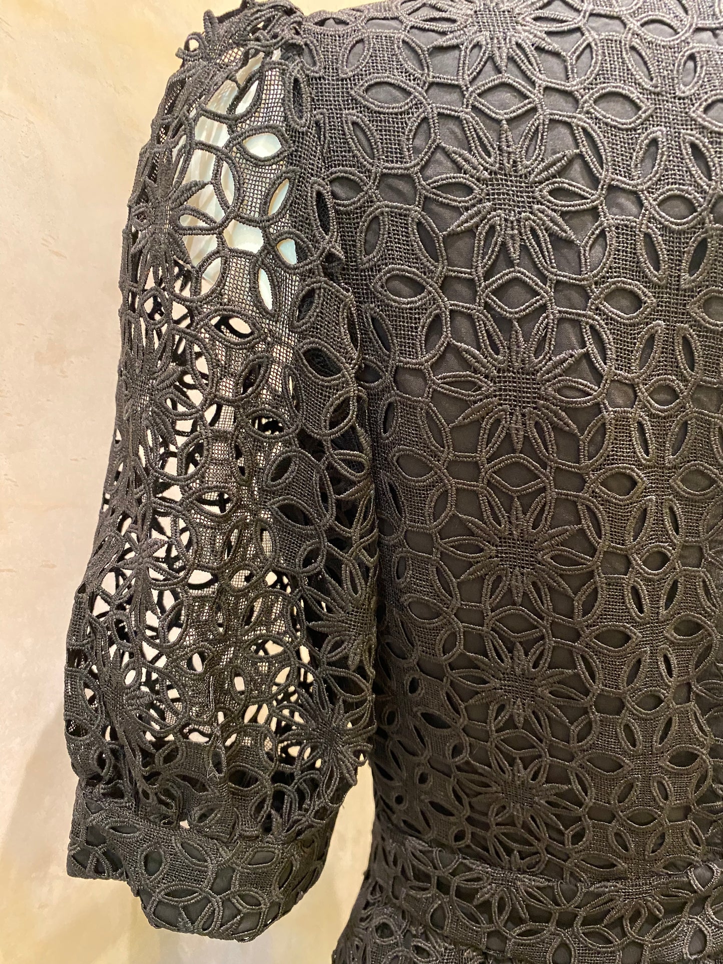 RENTAL Carolle lace dress