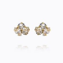 Load image into Gallery viewer, Ana Earrings Gold
