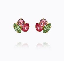 Load image into Gallery viewer, Ana Earrings
