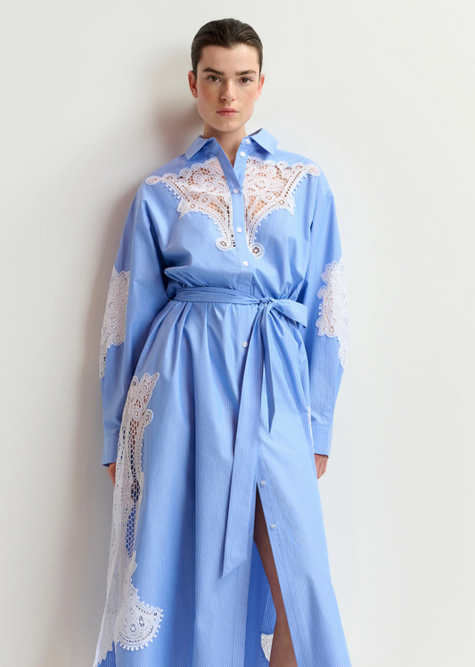 Haze Lace Panelled Dress