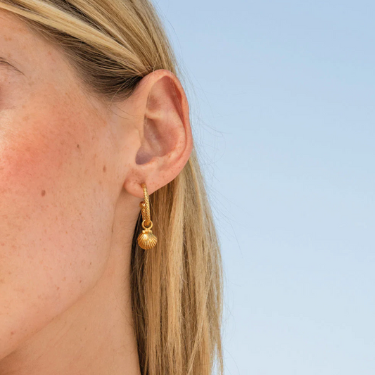 Shell loops earring gold